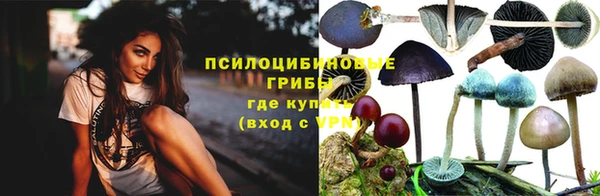 крисы Верхнеуральск