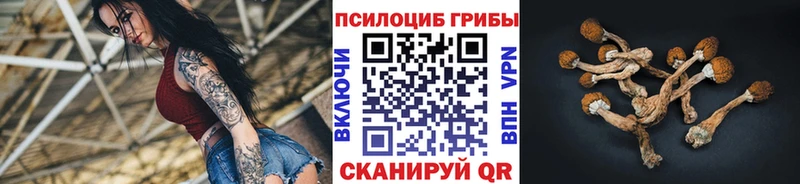 где продают   Голицыно  нарко площадка телеграм  Псилоцибиновые грибы мухоморы 
